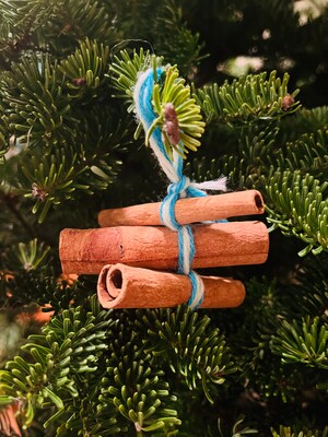 Eco-Friendly Holiday Ornament with Cinnamon Sticks - image1